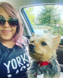 A woman with her yorkie on her lap