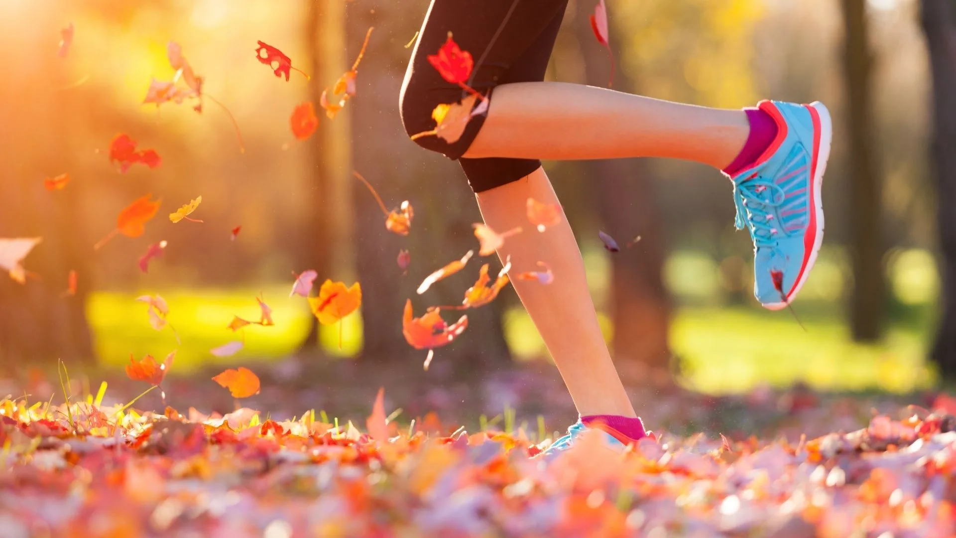 Fall Into Action with SAFE Project and HealthCode